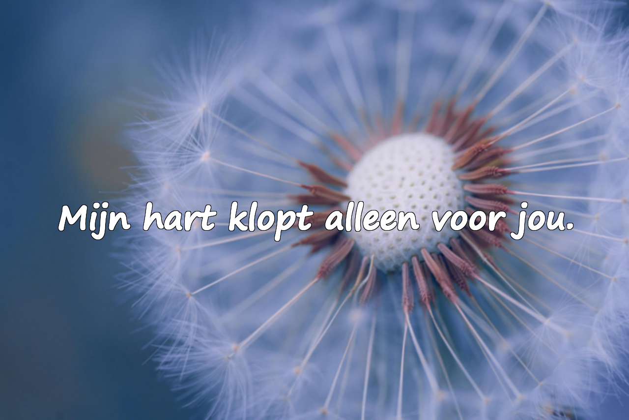 Mooie woorden voor je echtgenoot