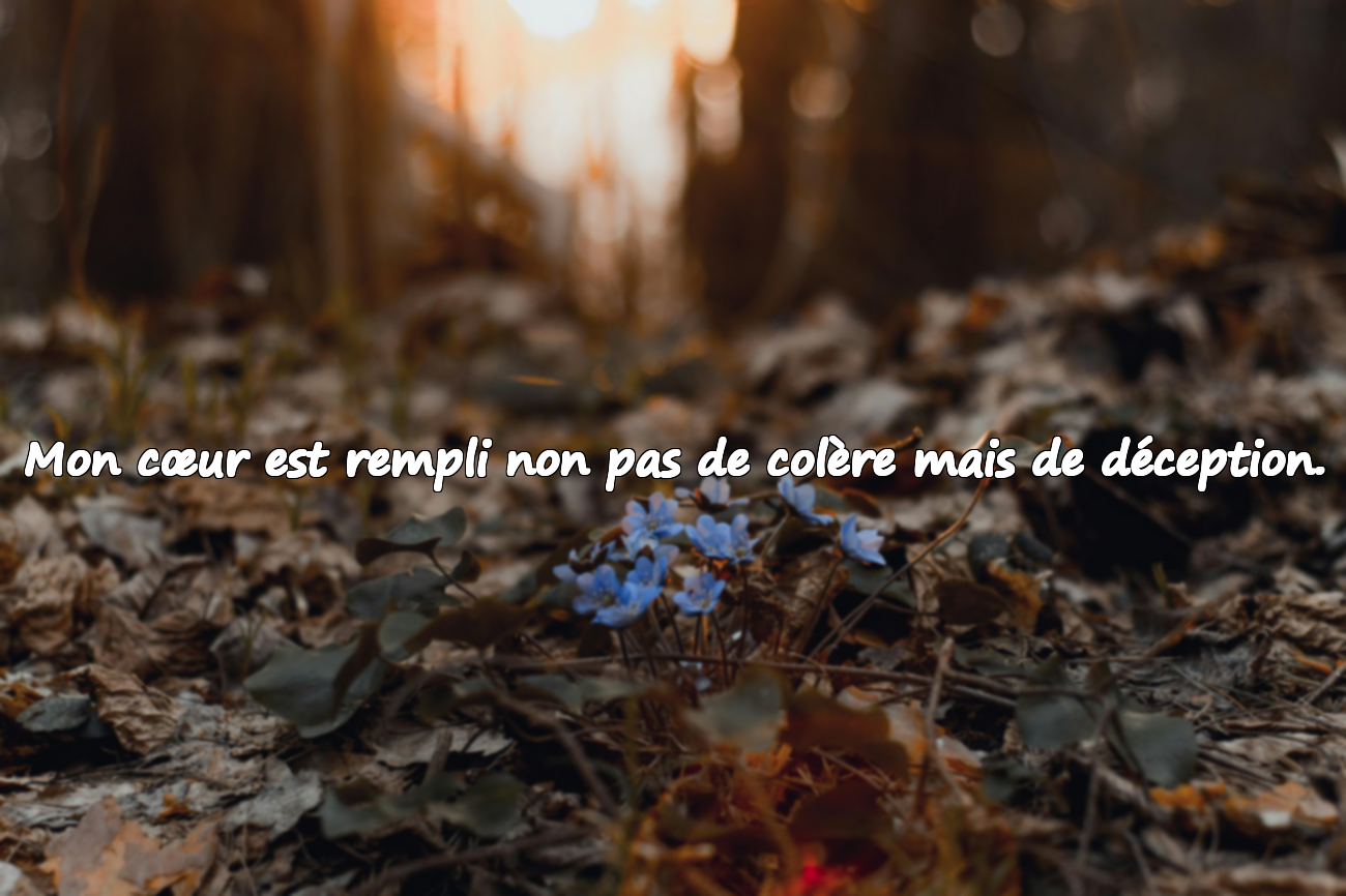Mots de reproche