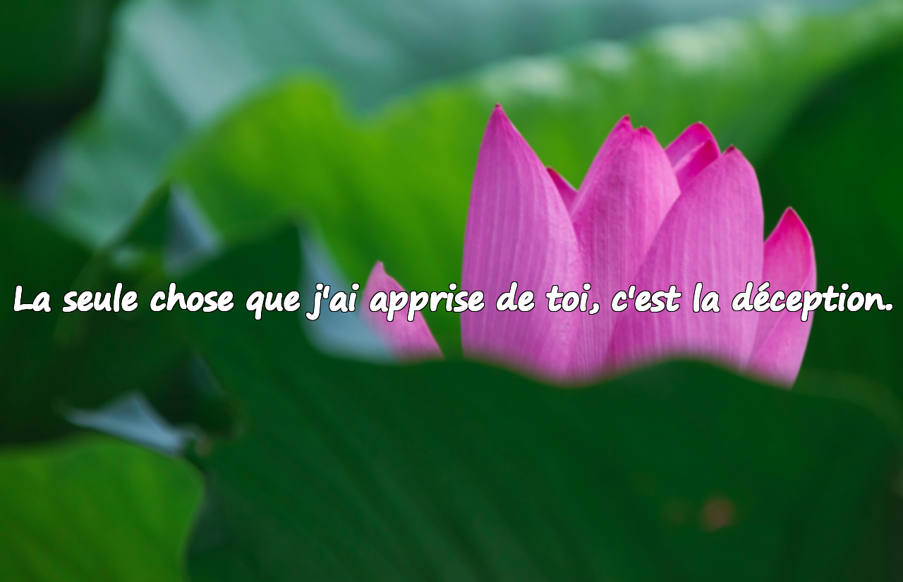 Mots de reproche