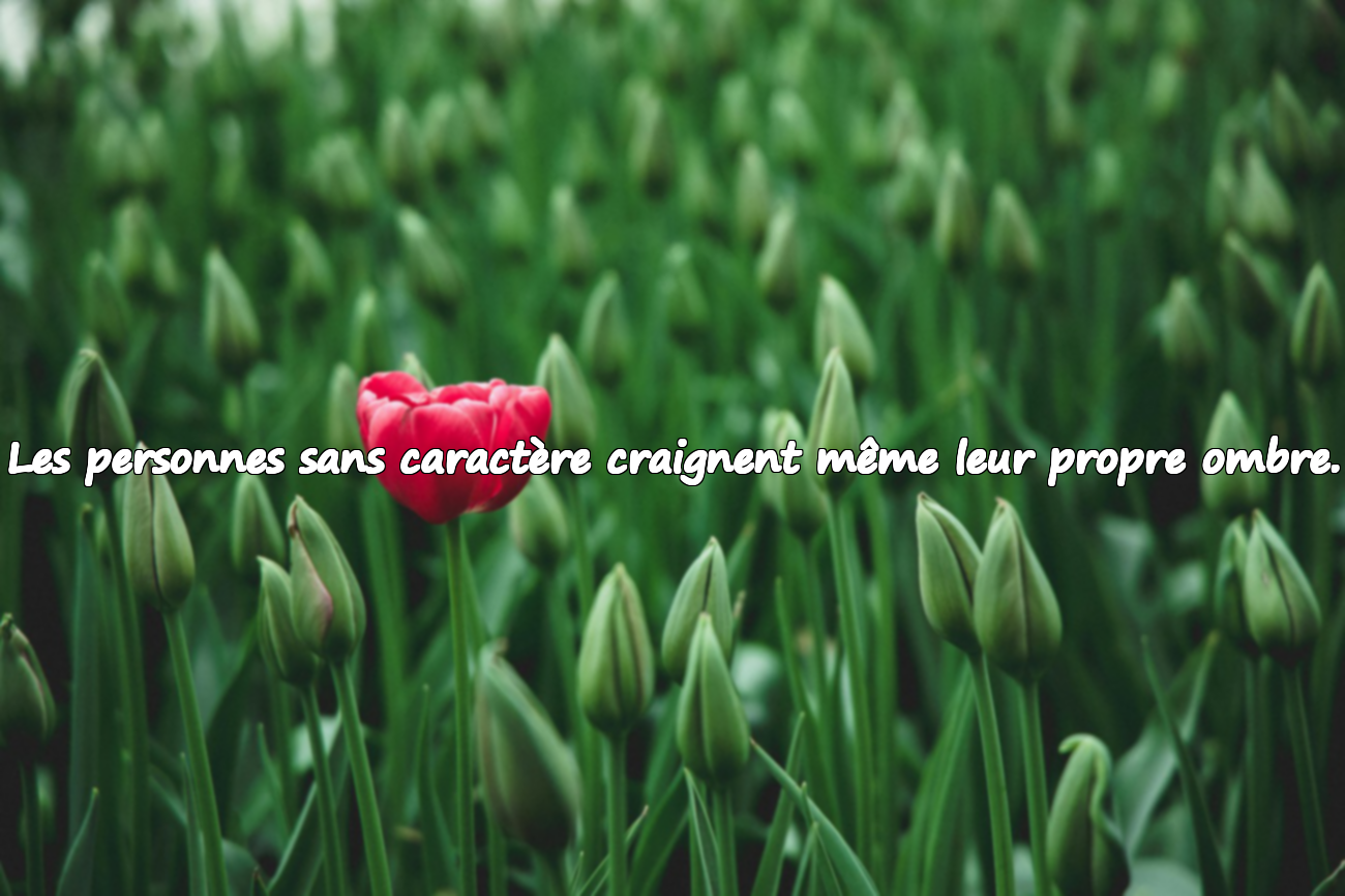 Les personnes sans caractère craignent même leur propre ombre.