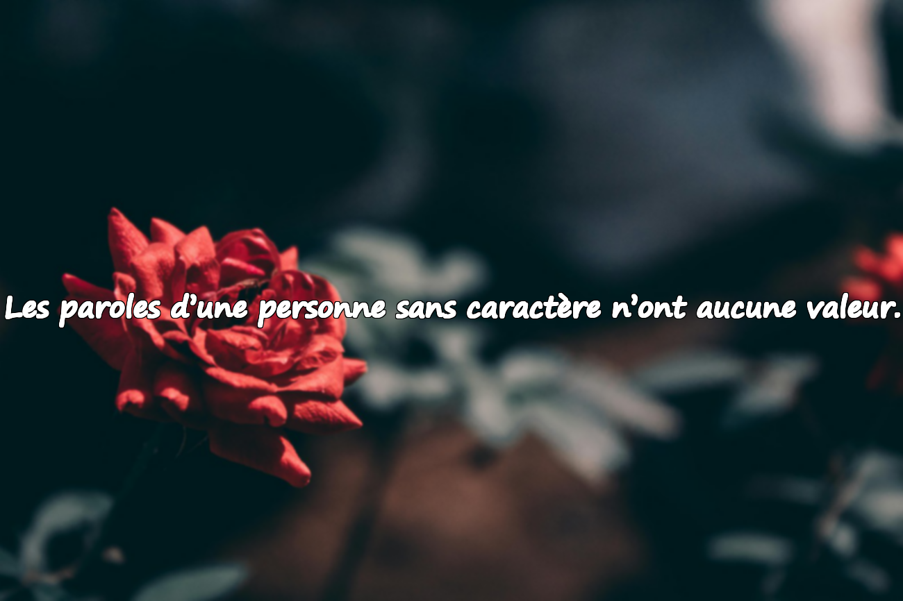 Les paroles d’une personne sans caractère n’ont aucune valeur.