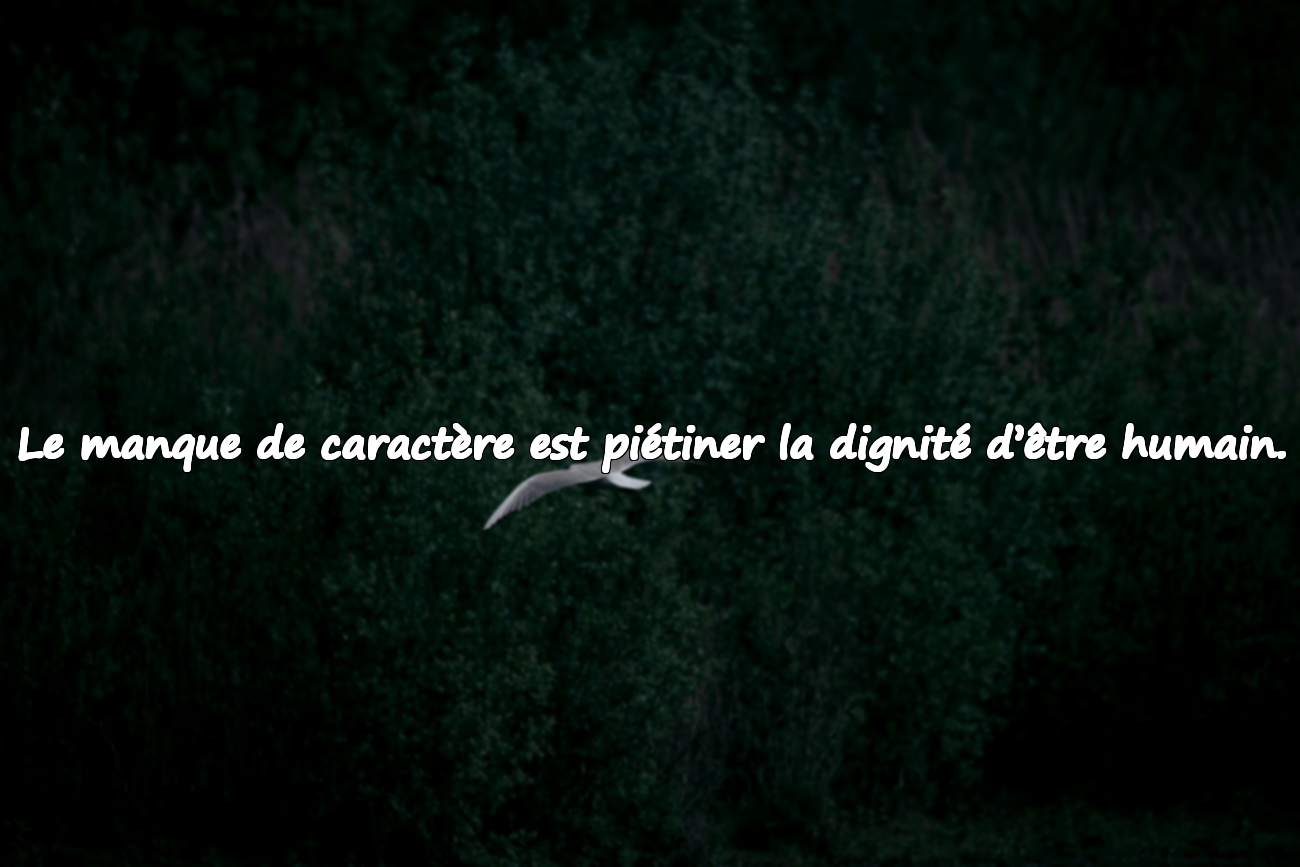 Le manque de caractère est piétiner la dignité d’être humain.