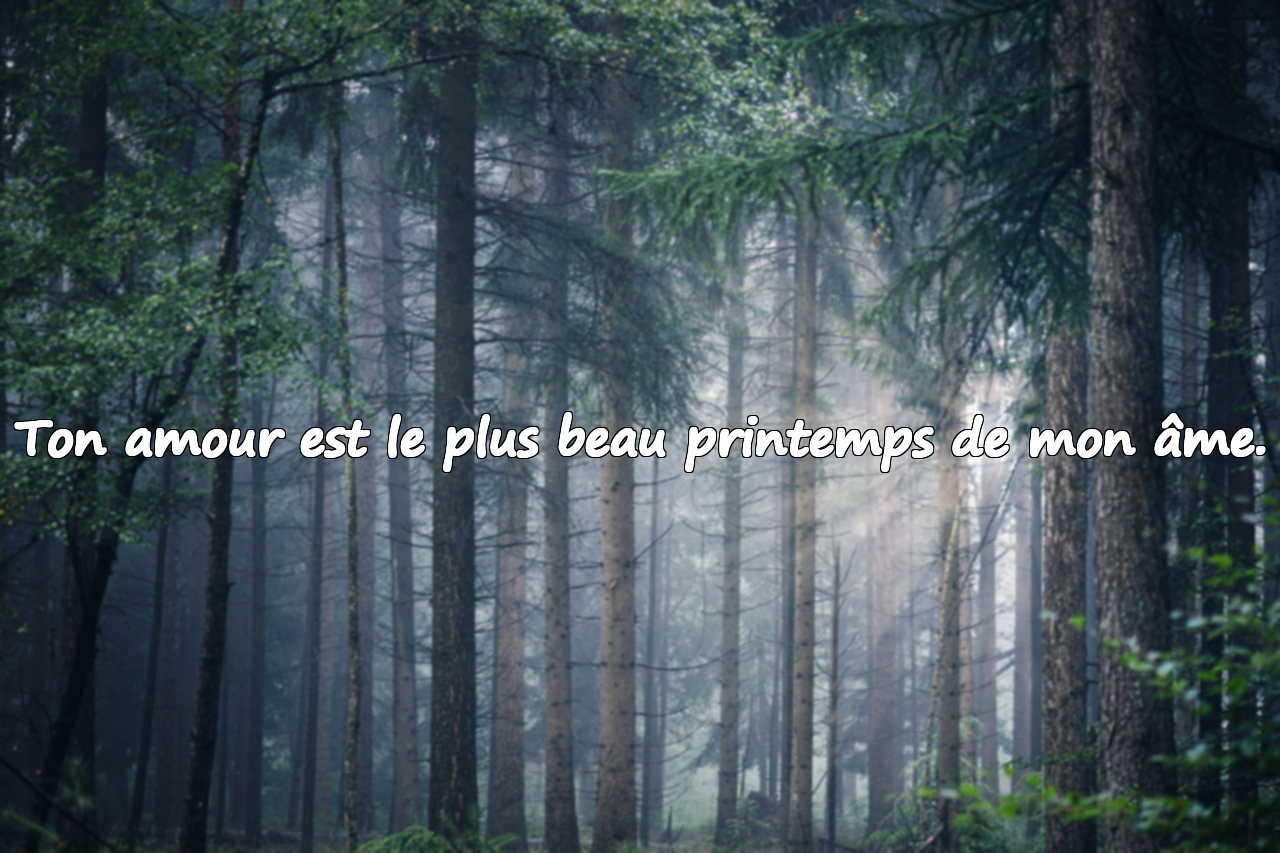 Mots touchants pour les époux