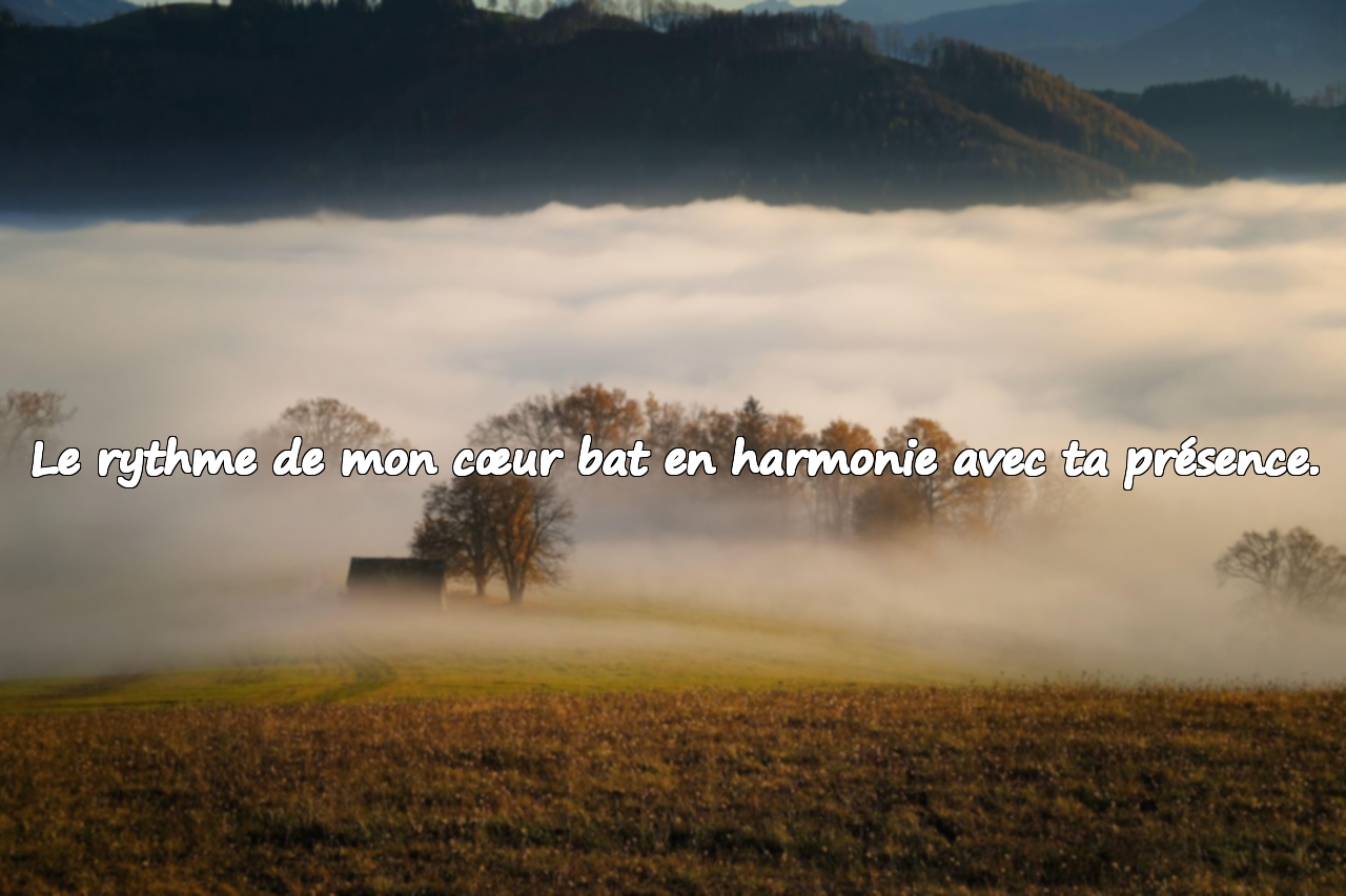 Mots touchants pour les époux