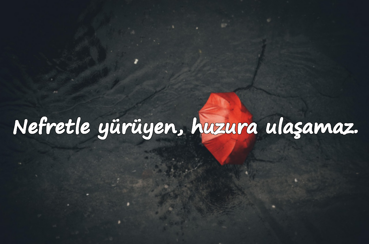 Nefret İle İlgili Sözler