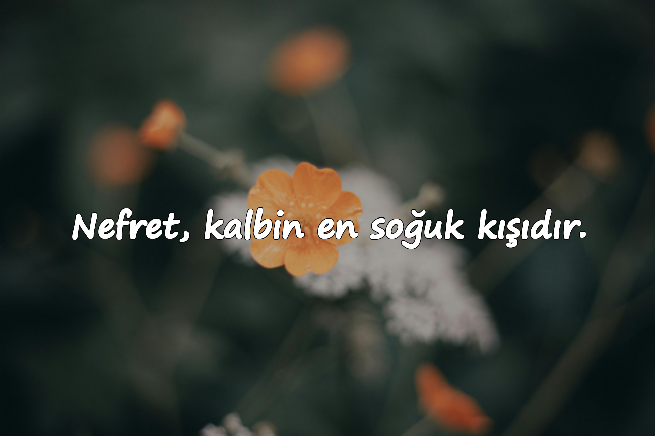 Nefret, kalbin en soğuk kışıdır.