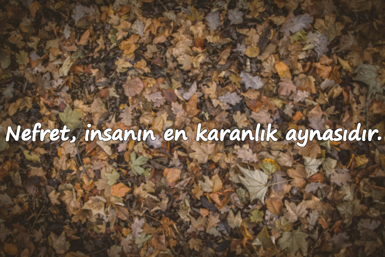 Nefret, insanın en karanlık aynasıdır.