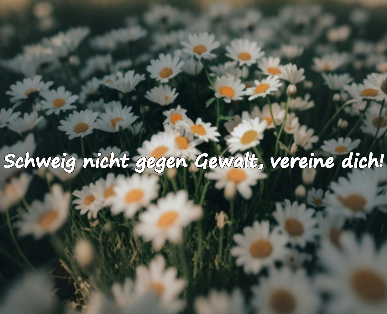 Nein zu Gewalt gegen Frauen