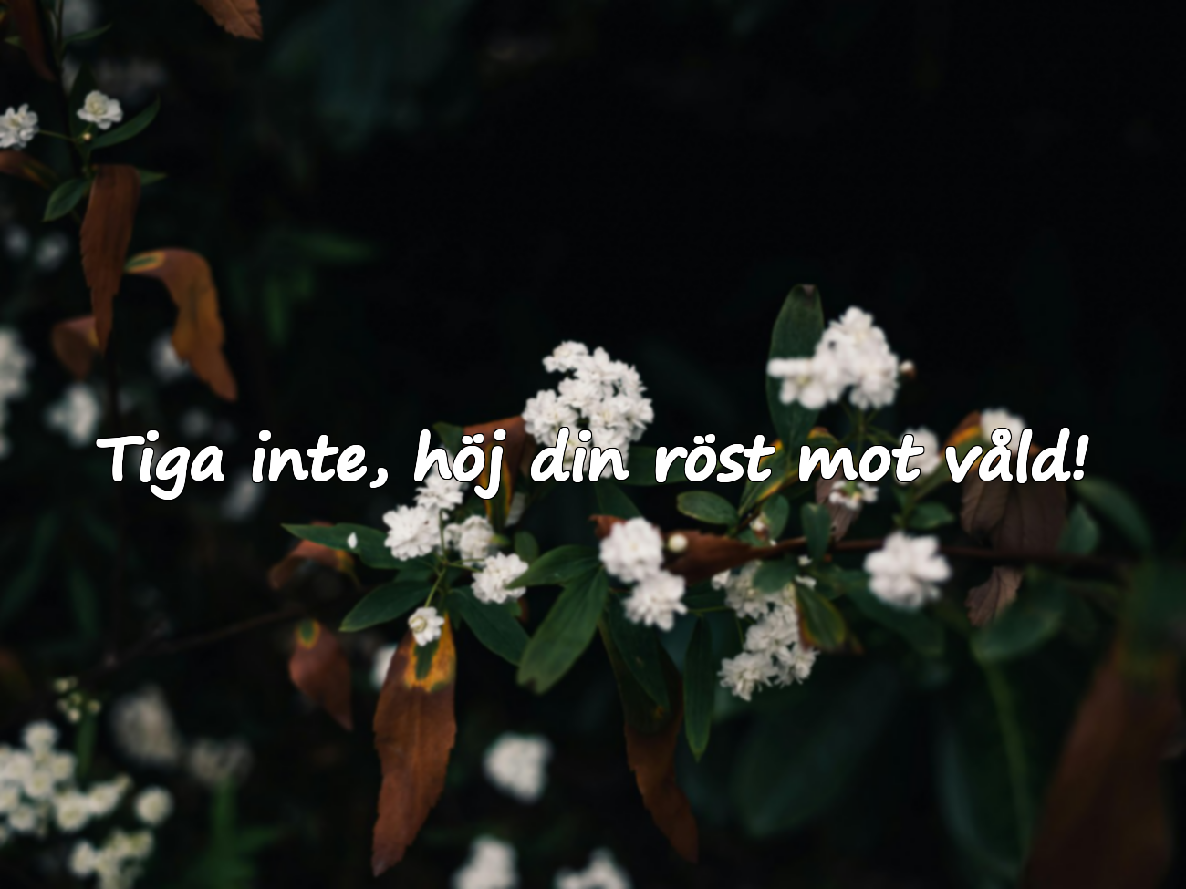 Nej till våld mot kvinnor