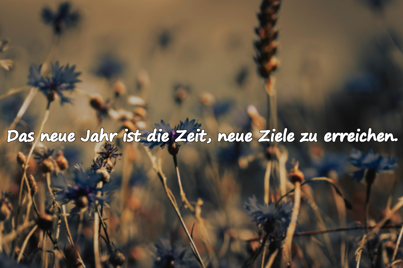 Neujahrszitate