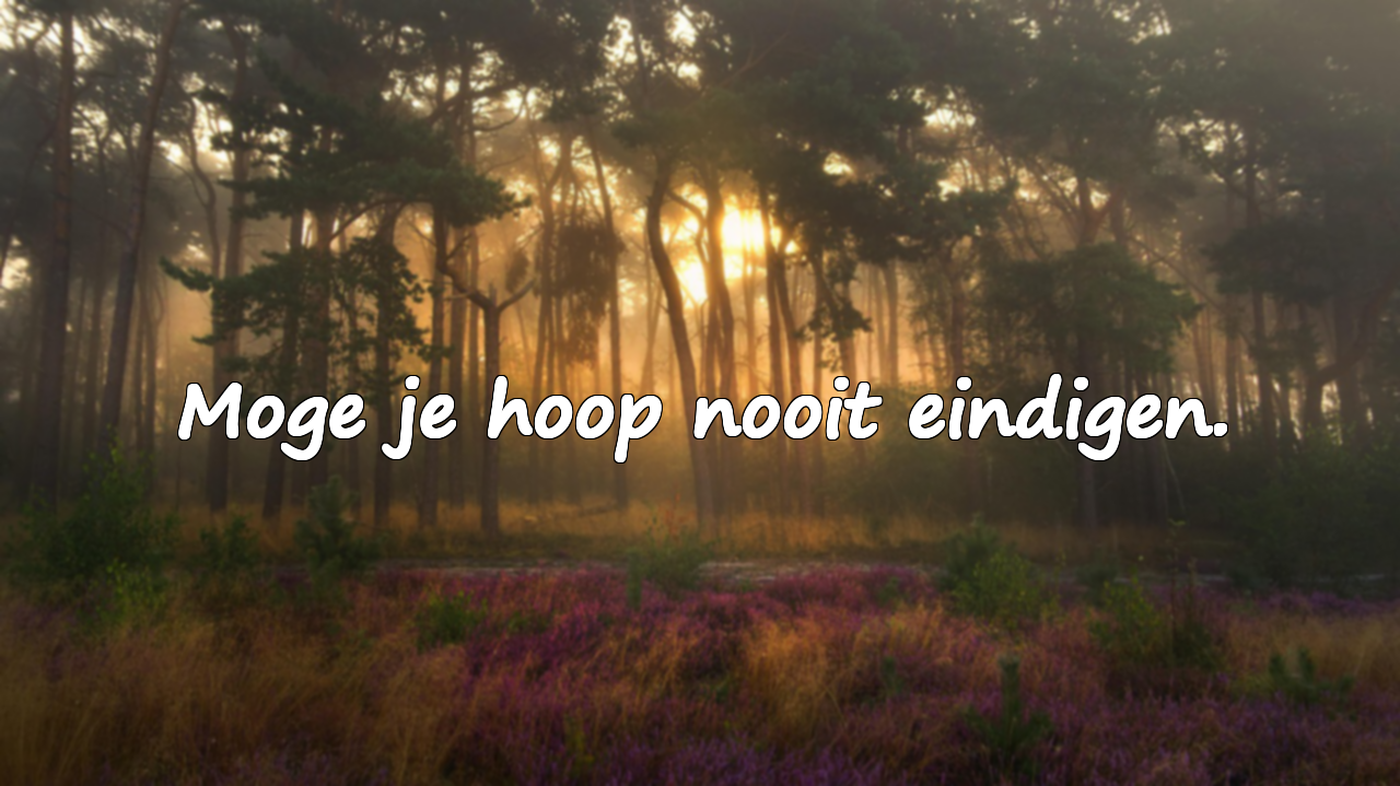 Nieuwjaarsquotes