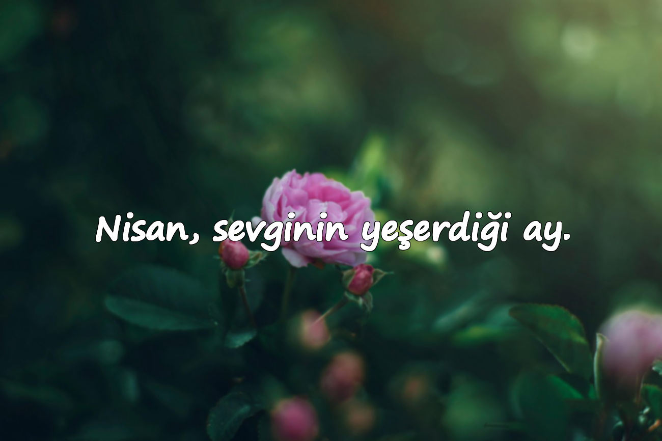 Nisan, sevginin yeşerdiği ay.