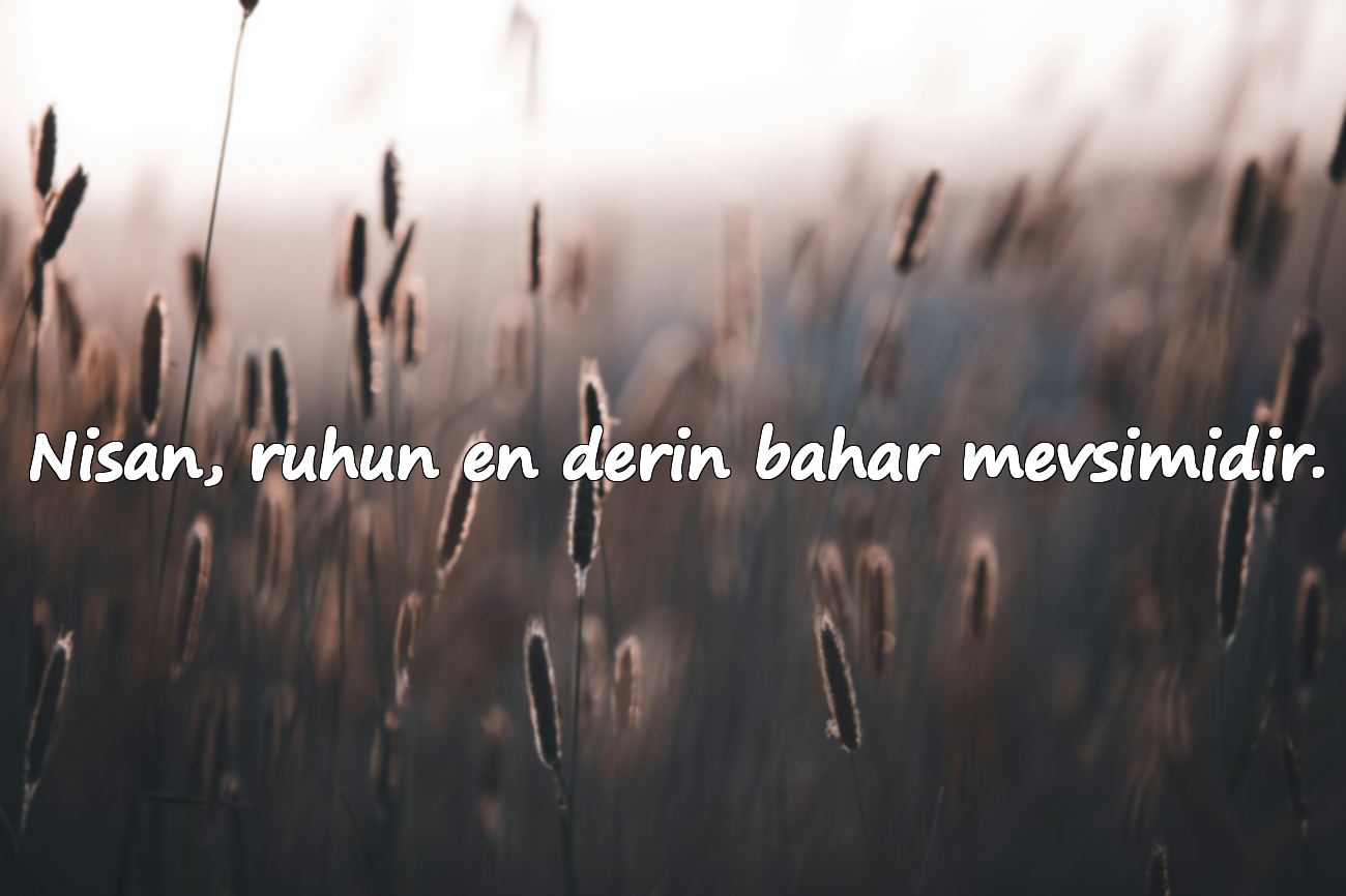 Nisan, ruhun en derin bahar mevsimidir.