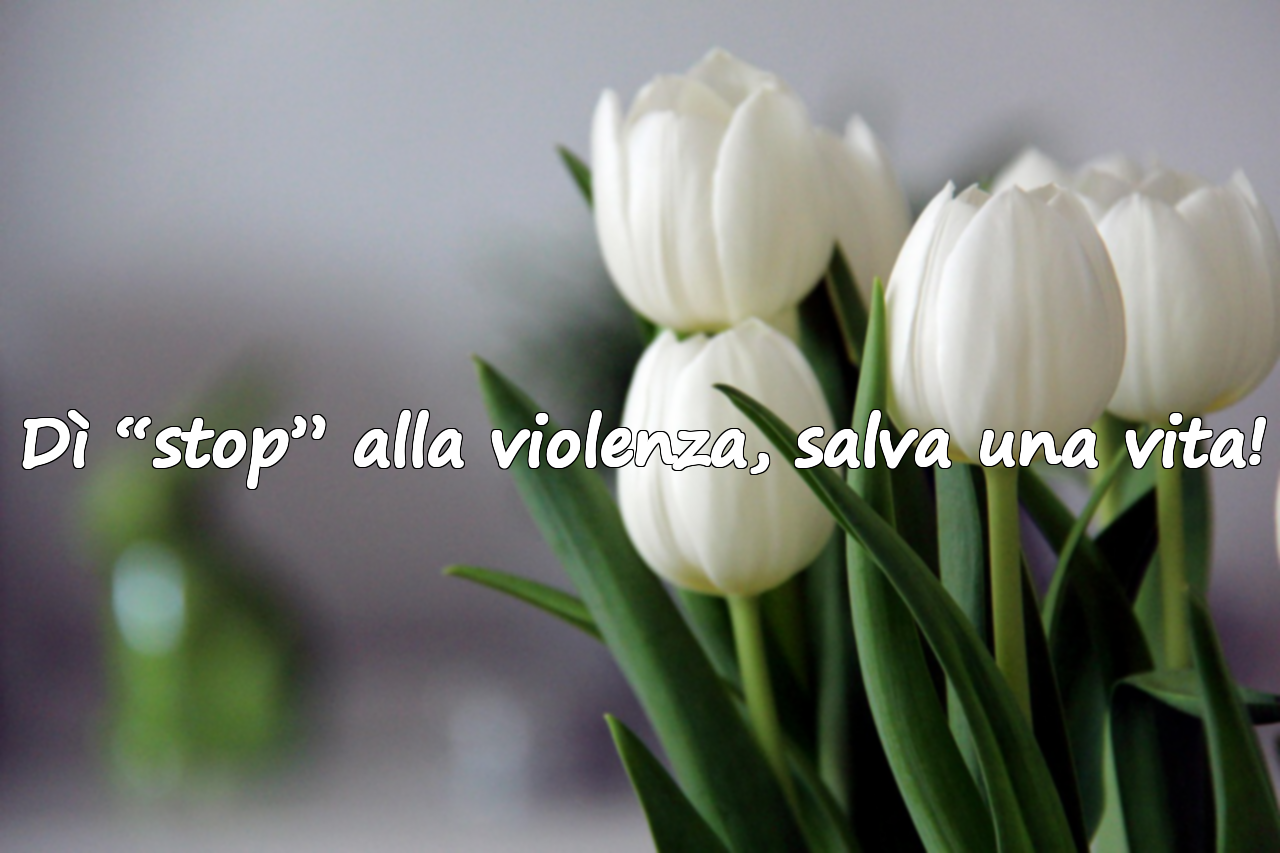 No alla violenza contro le donne