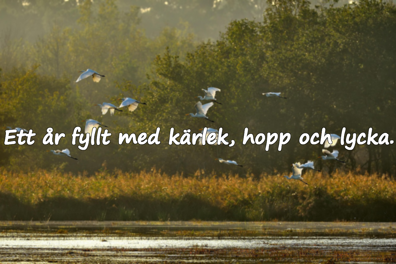 Nyårscitat