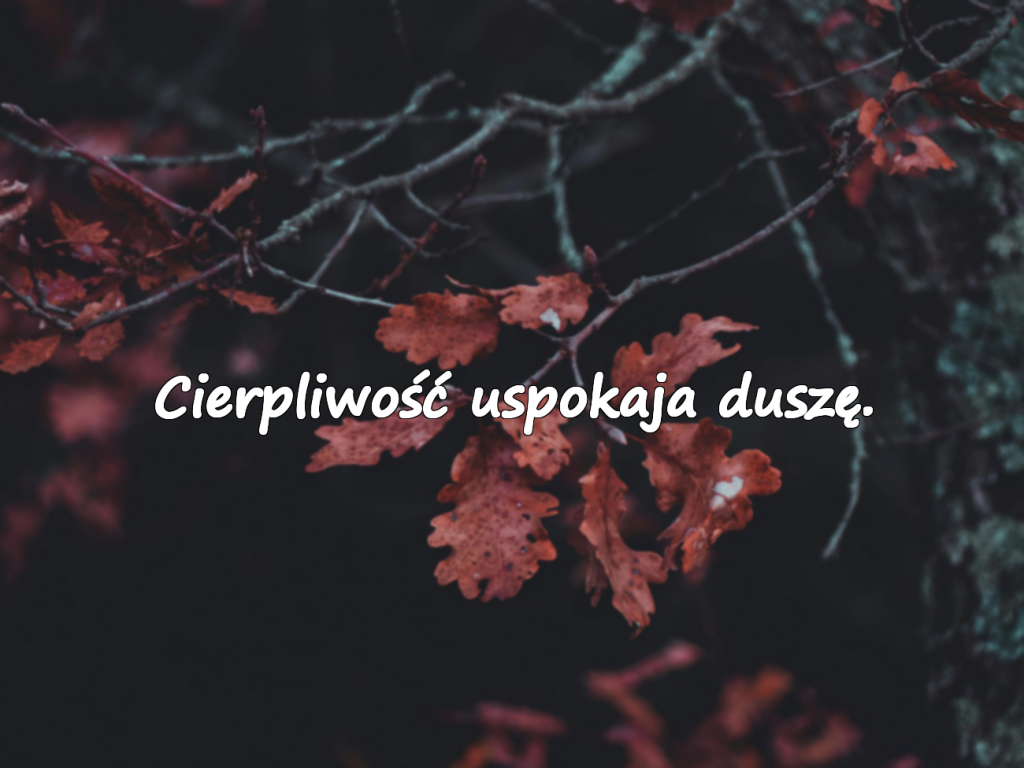Oczekiwanie i Czekanie – Cytaty