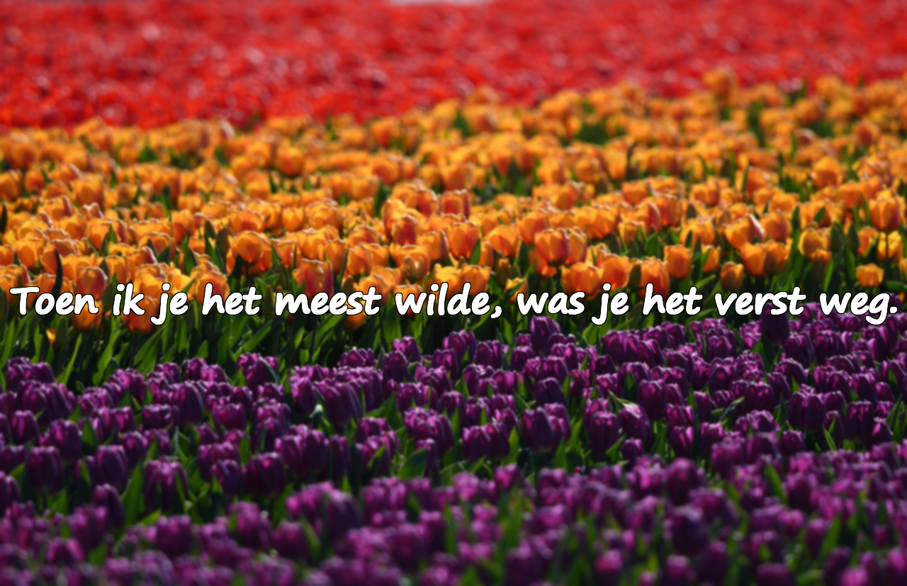 Onmogelijke liefdescitaten