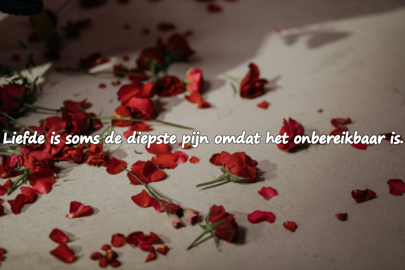 Onmogelijke liefdescitaten