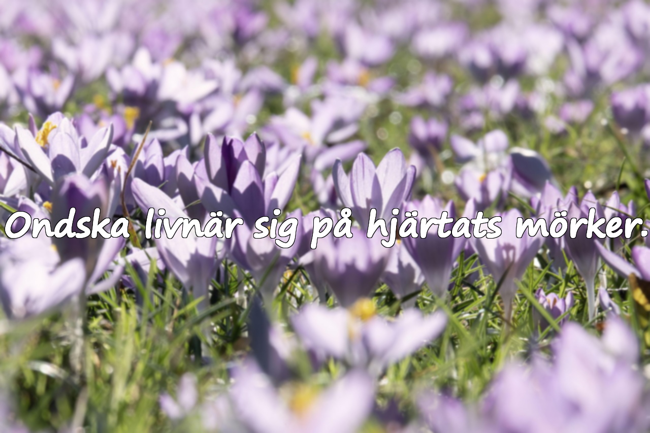 Ondska livnär sig på hjärtats mörker.