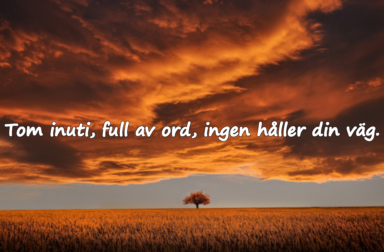 Ord för karaktärslösa människor