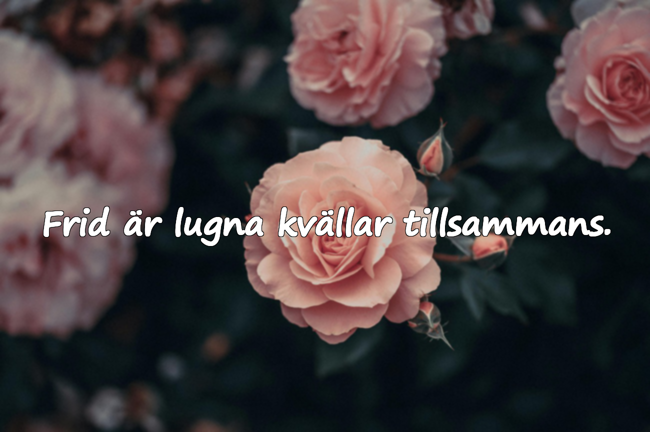 Frid är lugna kvällar tillsammans.