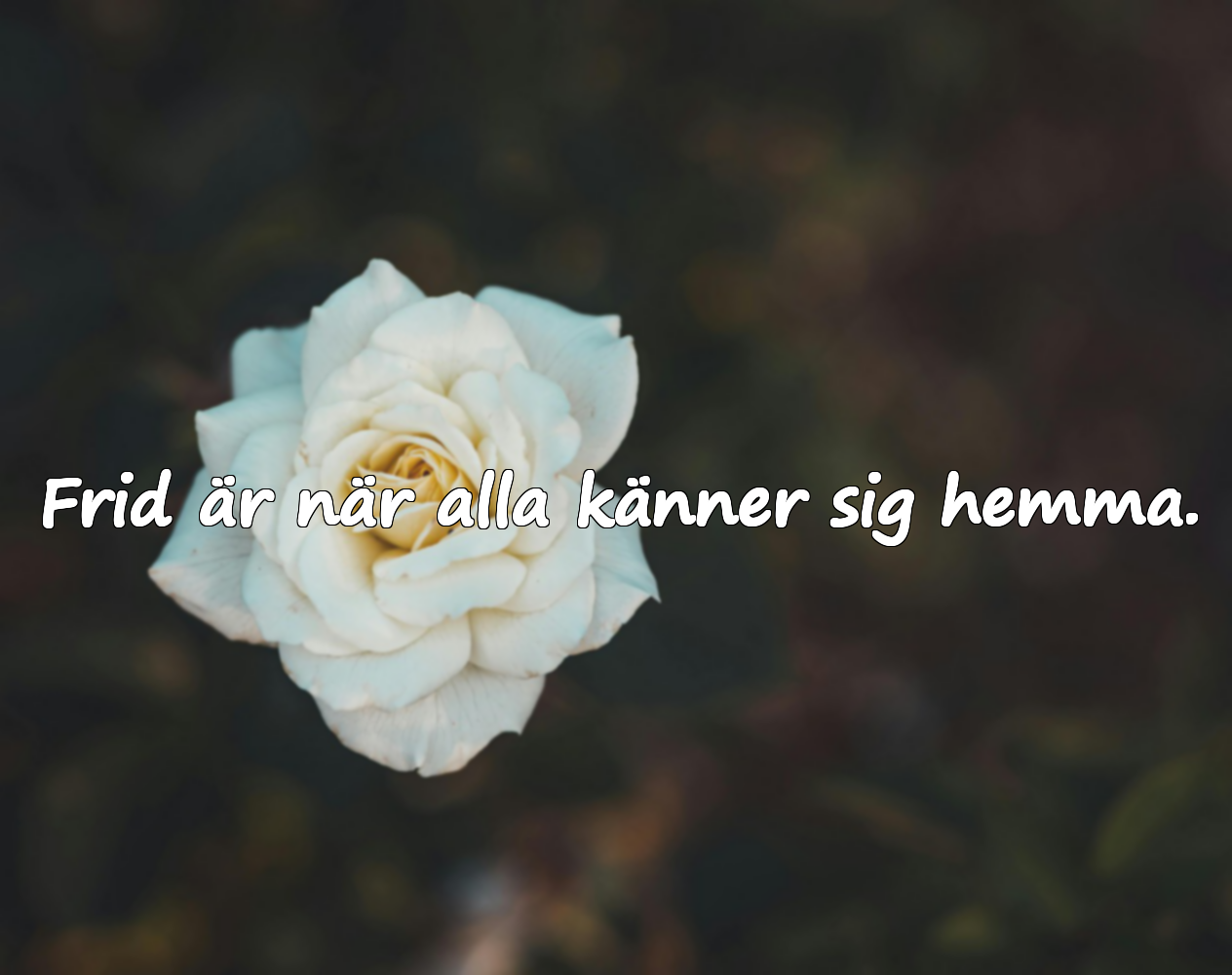 Ord om Frid för Familjer