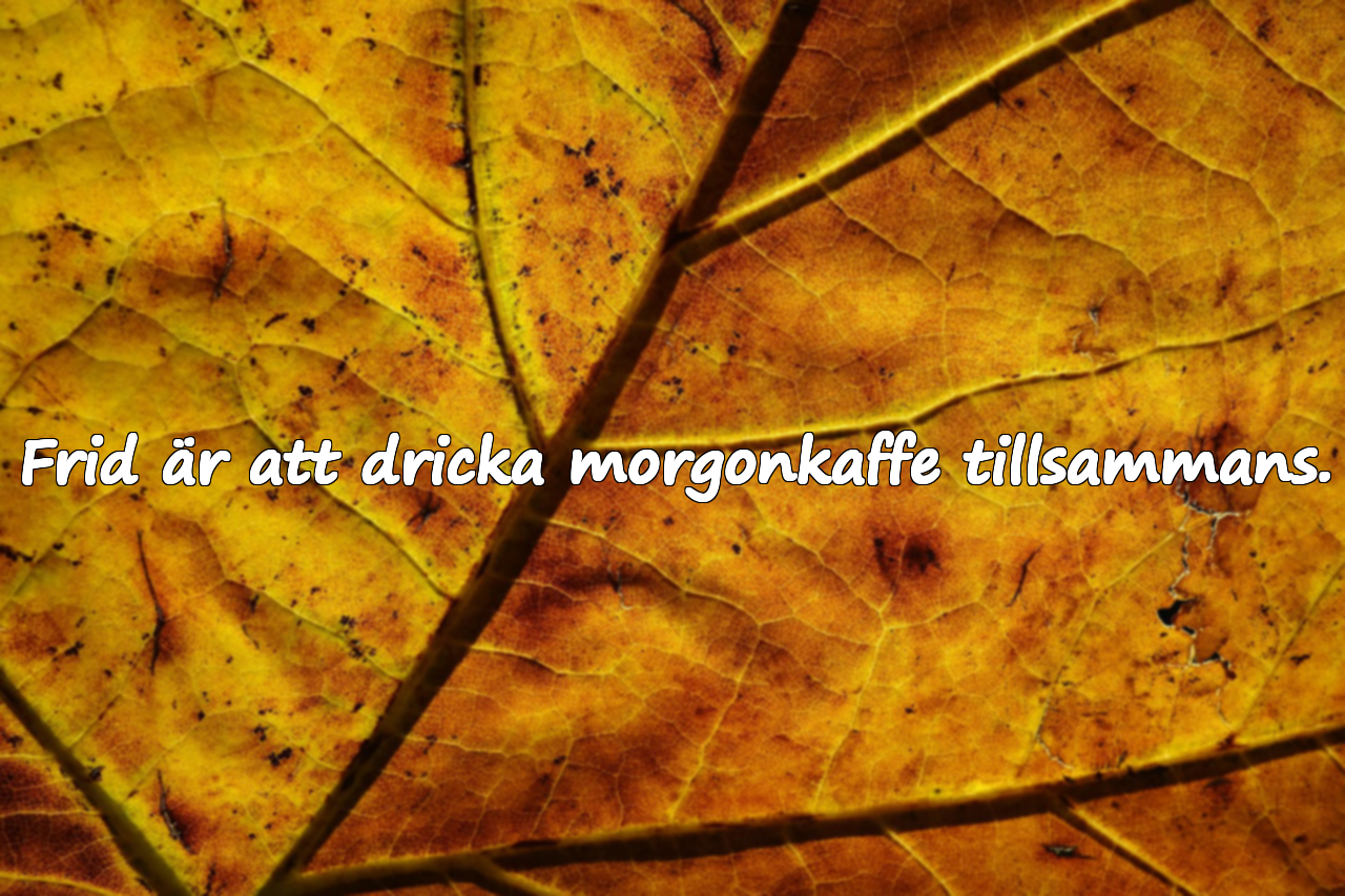 Ord om Frid för Familjer