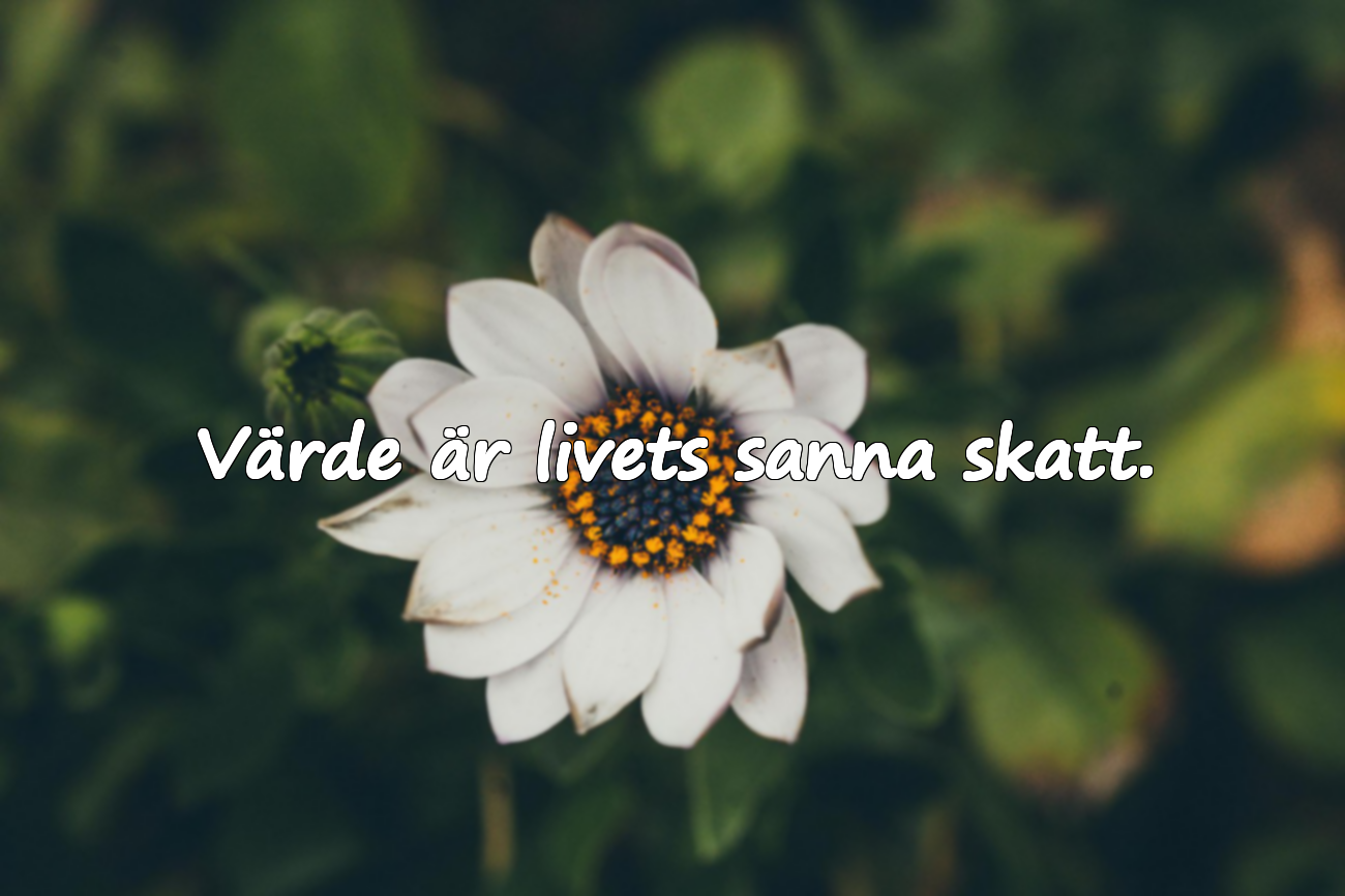 Värde är livets sanna skatt.