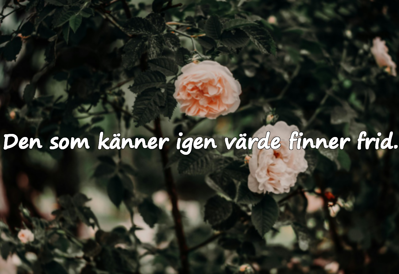 Den som känner igen värde finner frid.