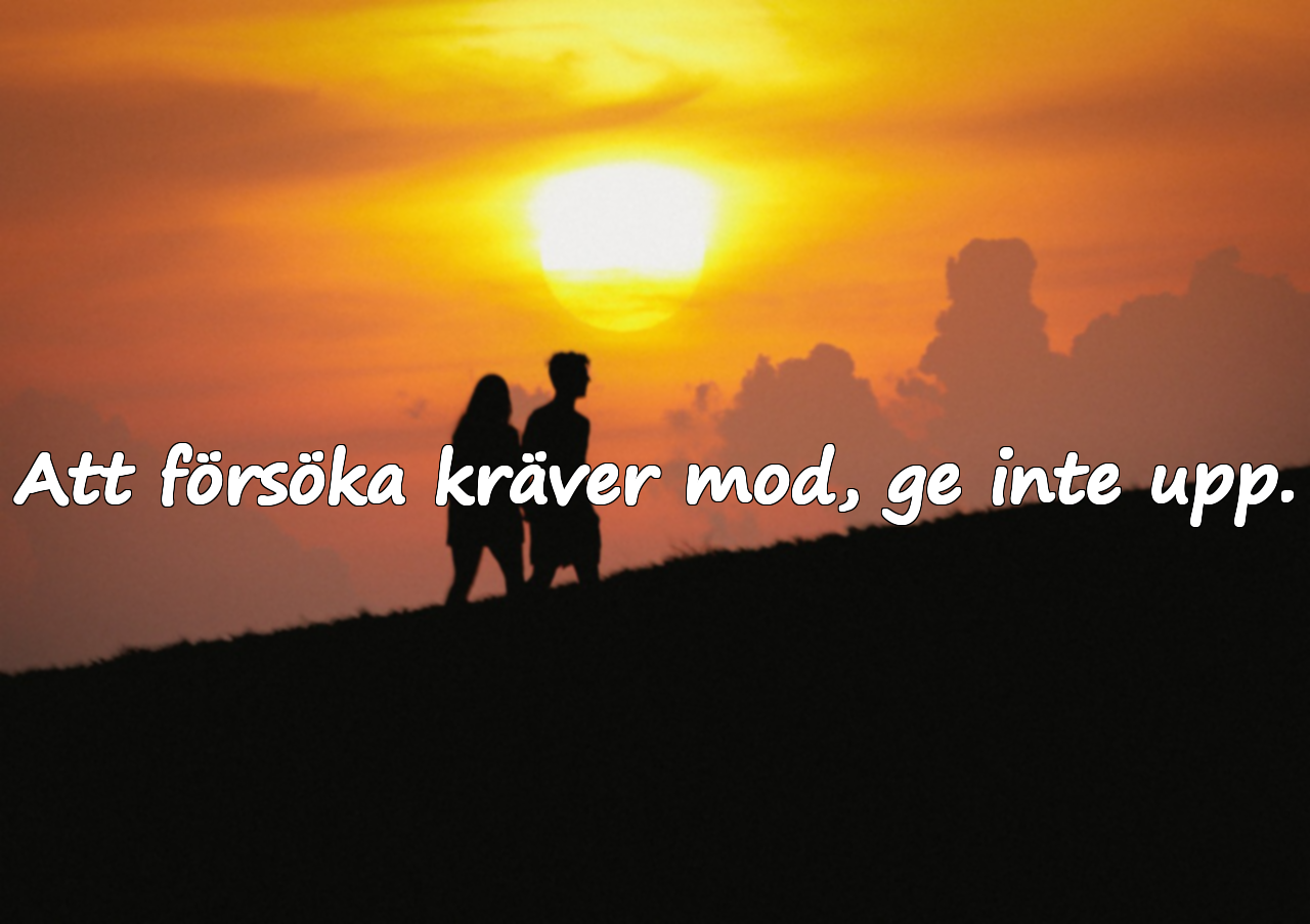 Ord om ångra