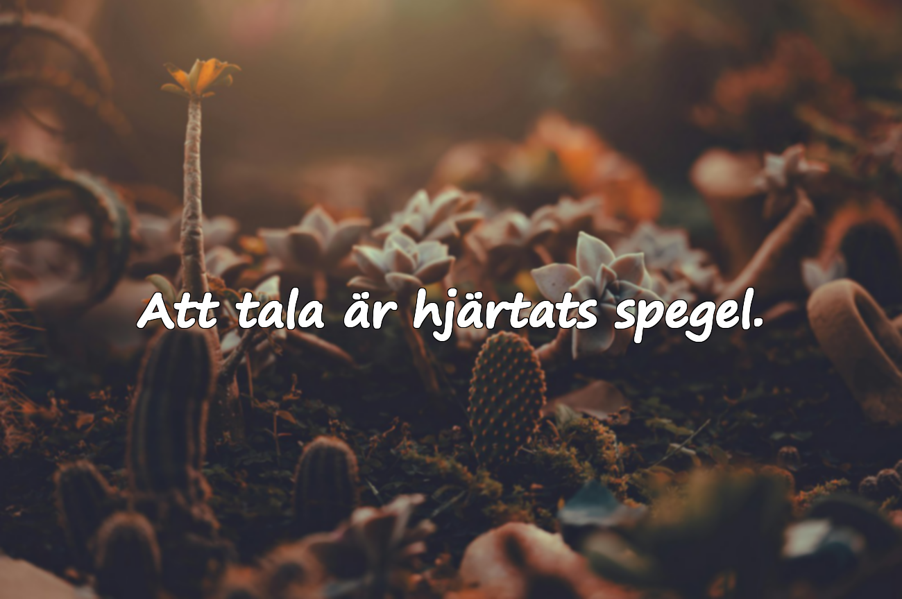 Att tala är hjärtats spegel.
