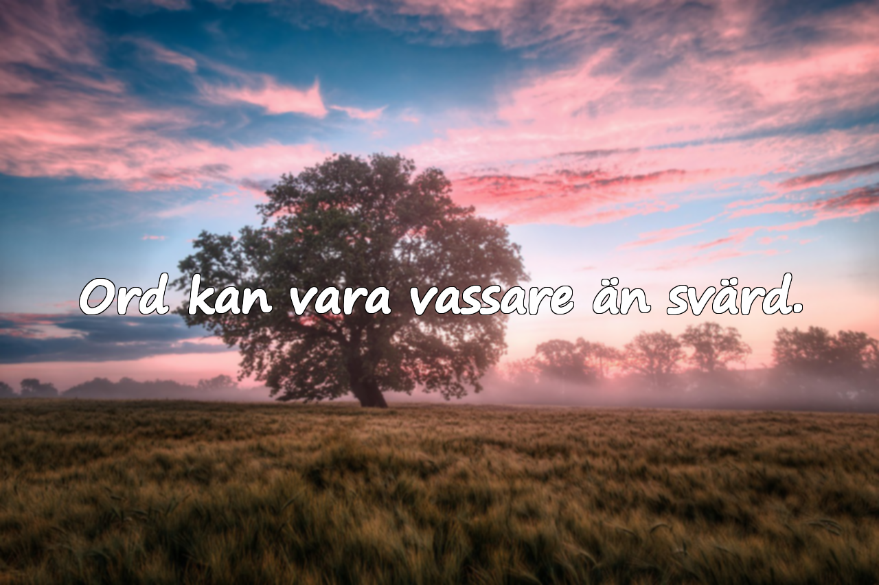 Ord kan vara vassare än svärd.