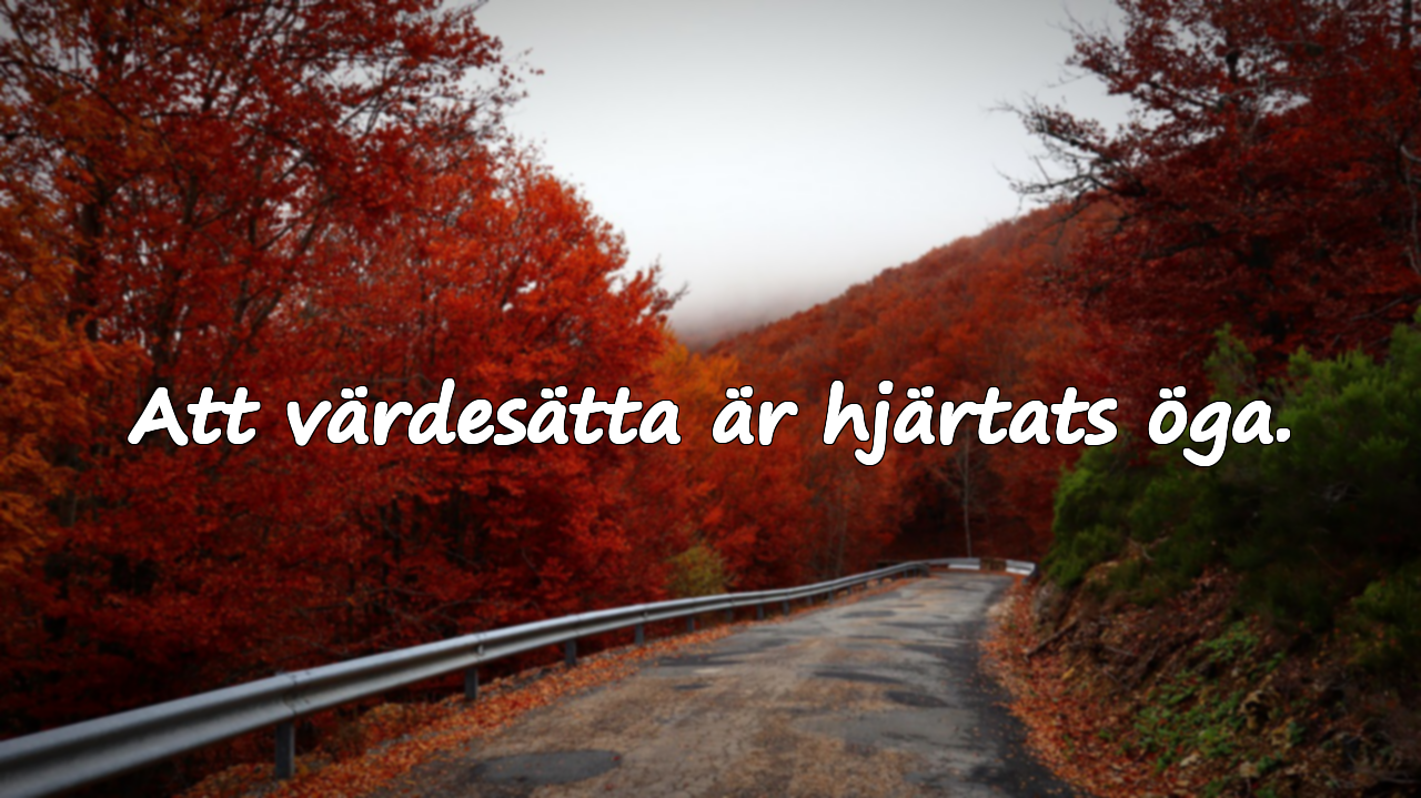 Att värdesätta är hjärtats öga.