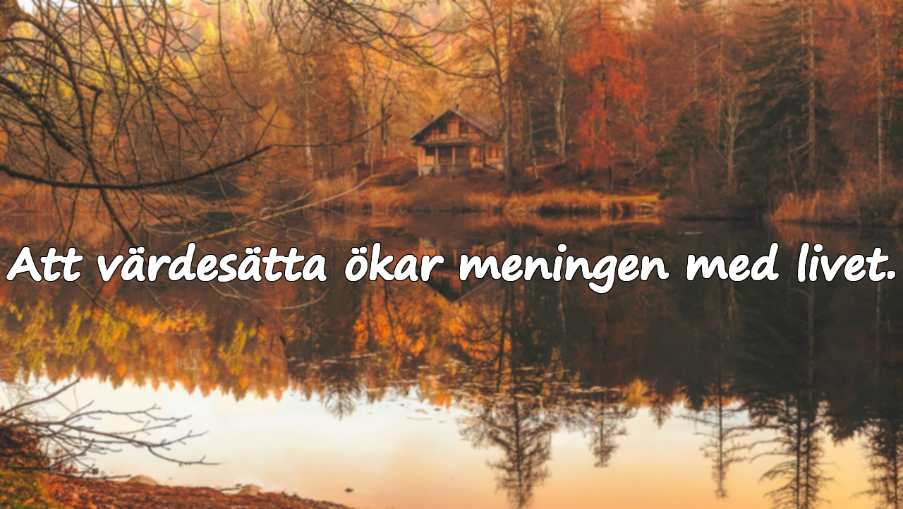 Att värdesätta ökar meningen med livet.