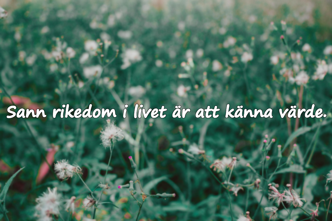 Sann rikedom i livet är att känna värde.