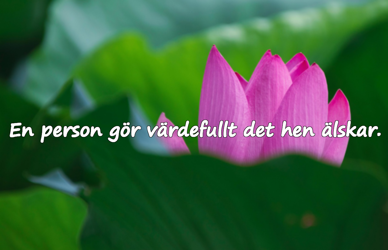 En person gör värdefullt det hen älskar.