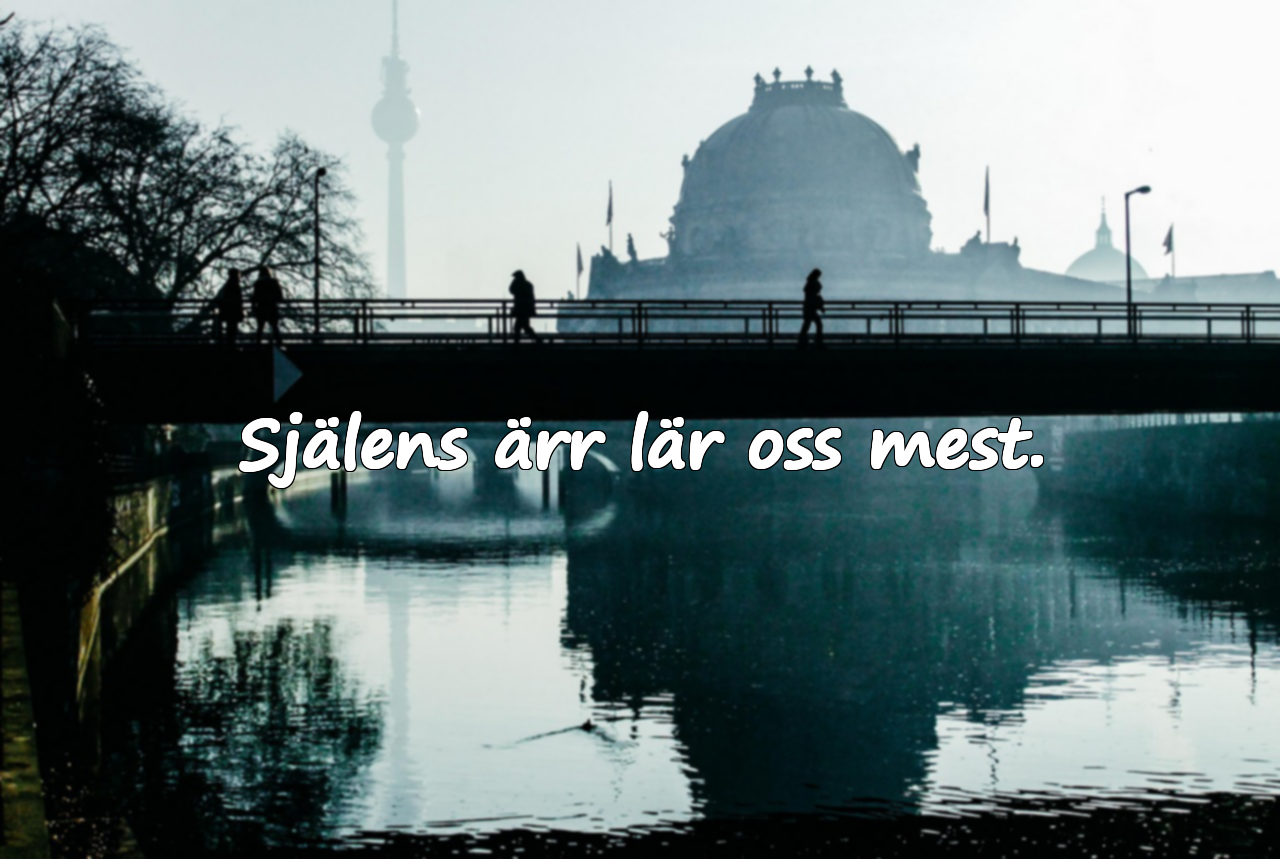 Själens ärr lär oss mest.