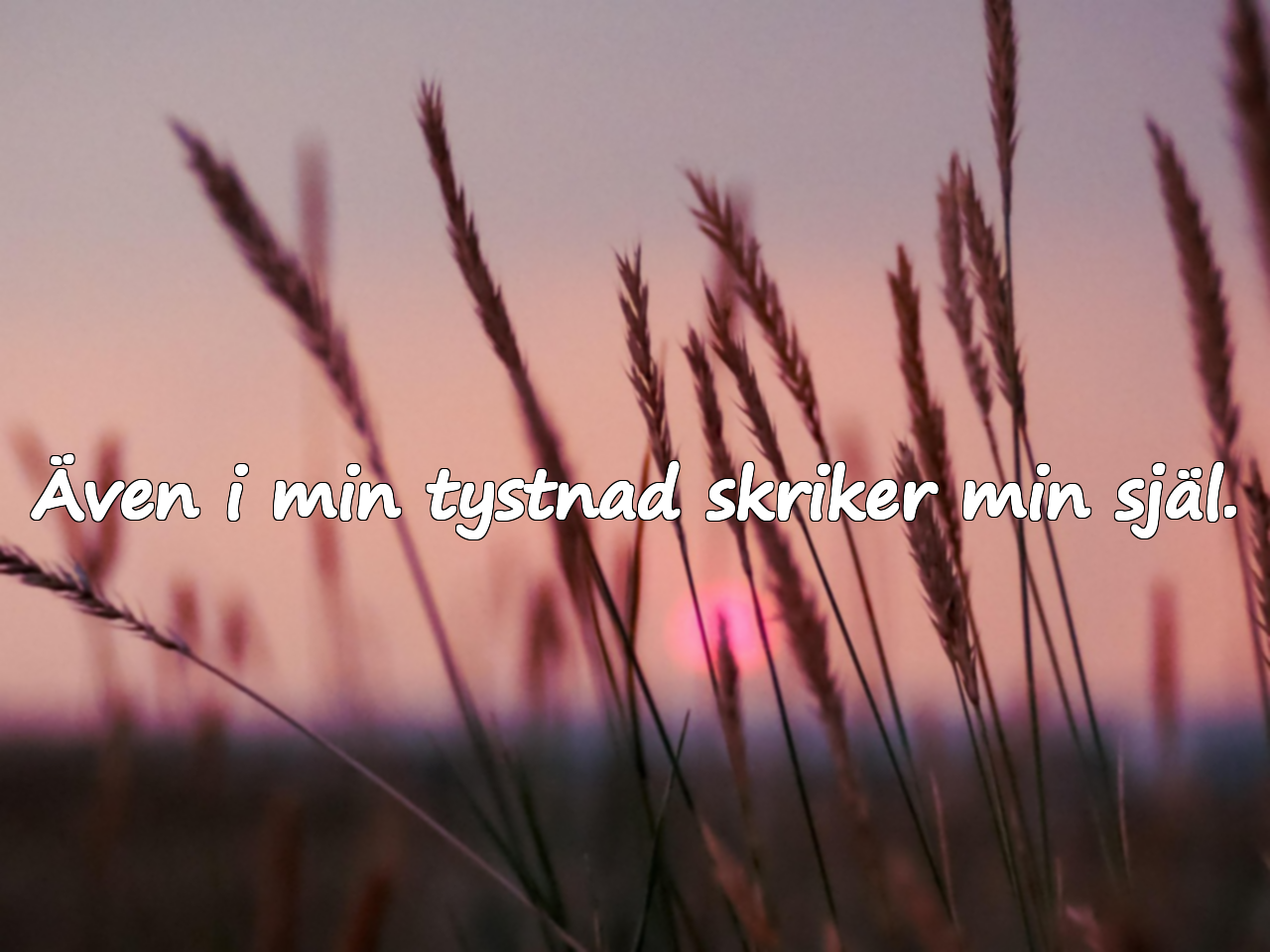 Även i min tystnad skriker min själ.