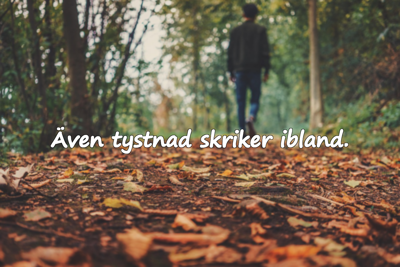 Även tystnad skriker ibland.