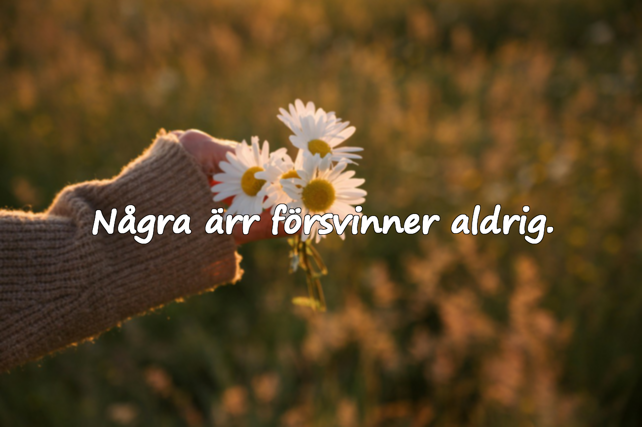 Några ärr försvinner aldrig.