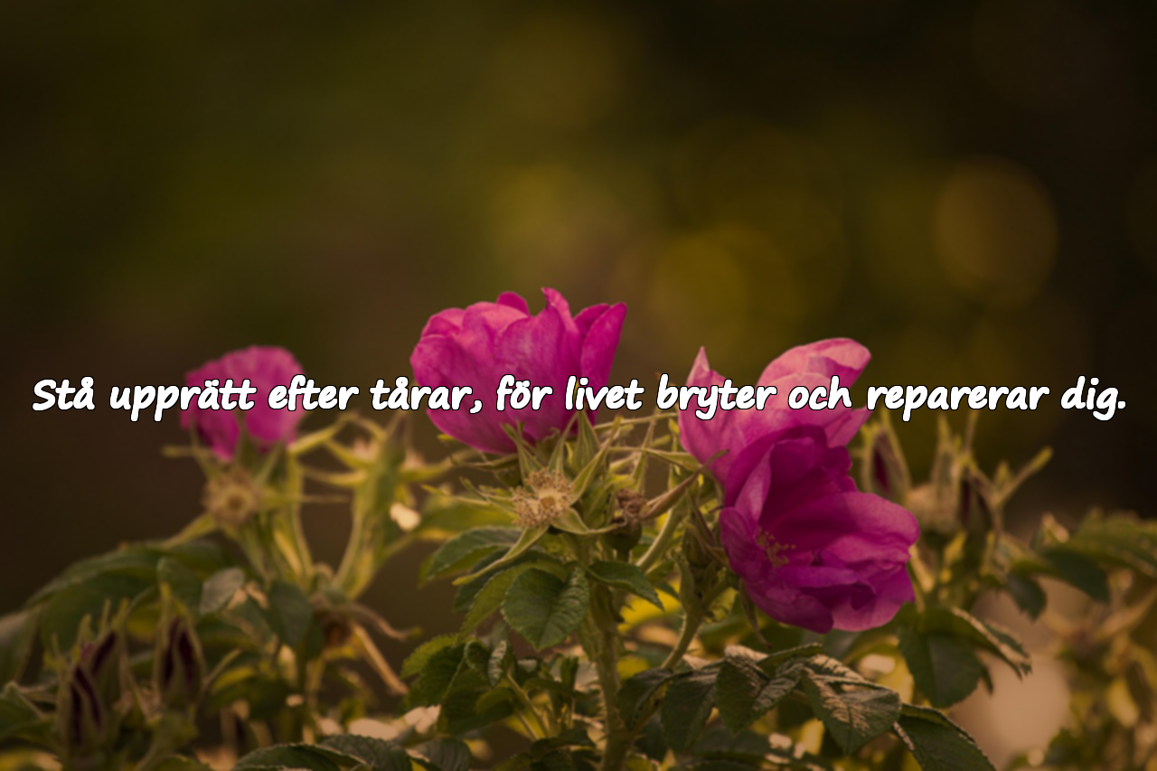 Ord om gråt och styrka