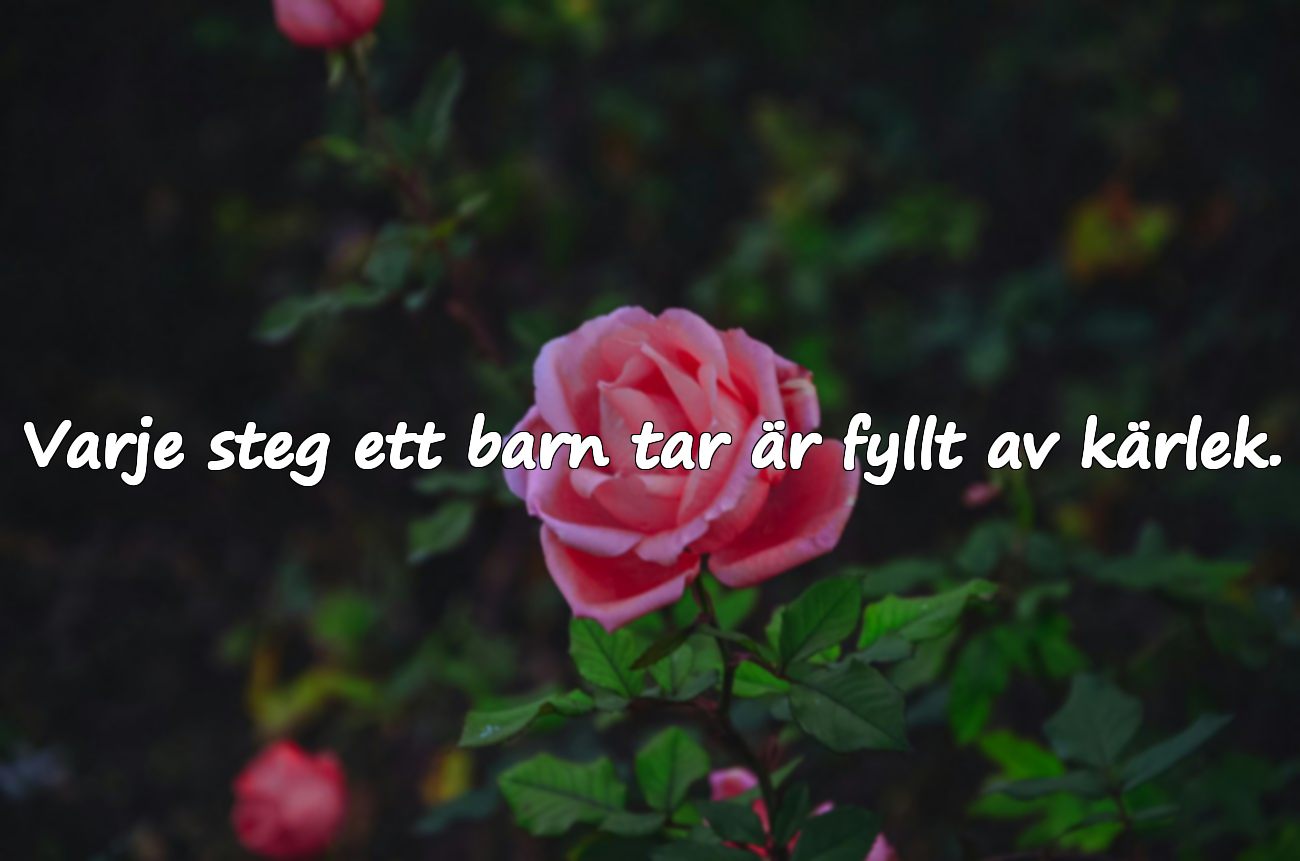 Ord om kärlek till barn