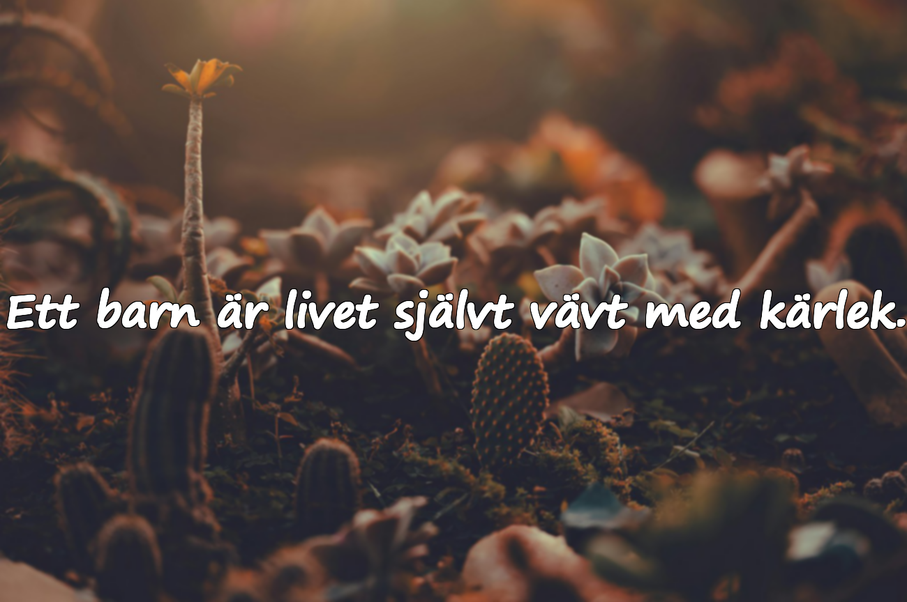 Ord om kärlek till barn