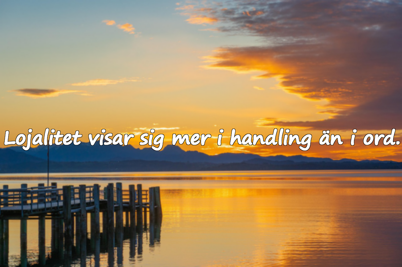 Ord om lojalitet