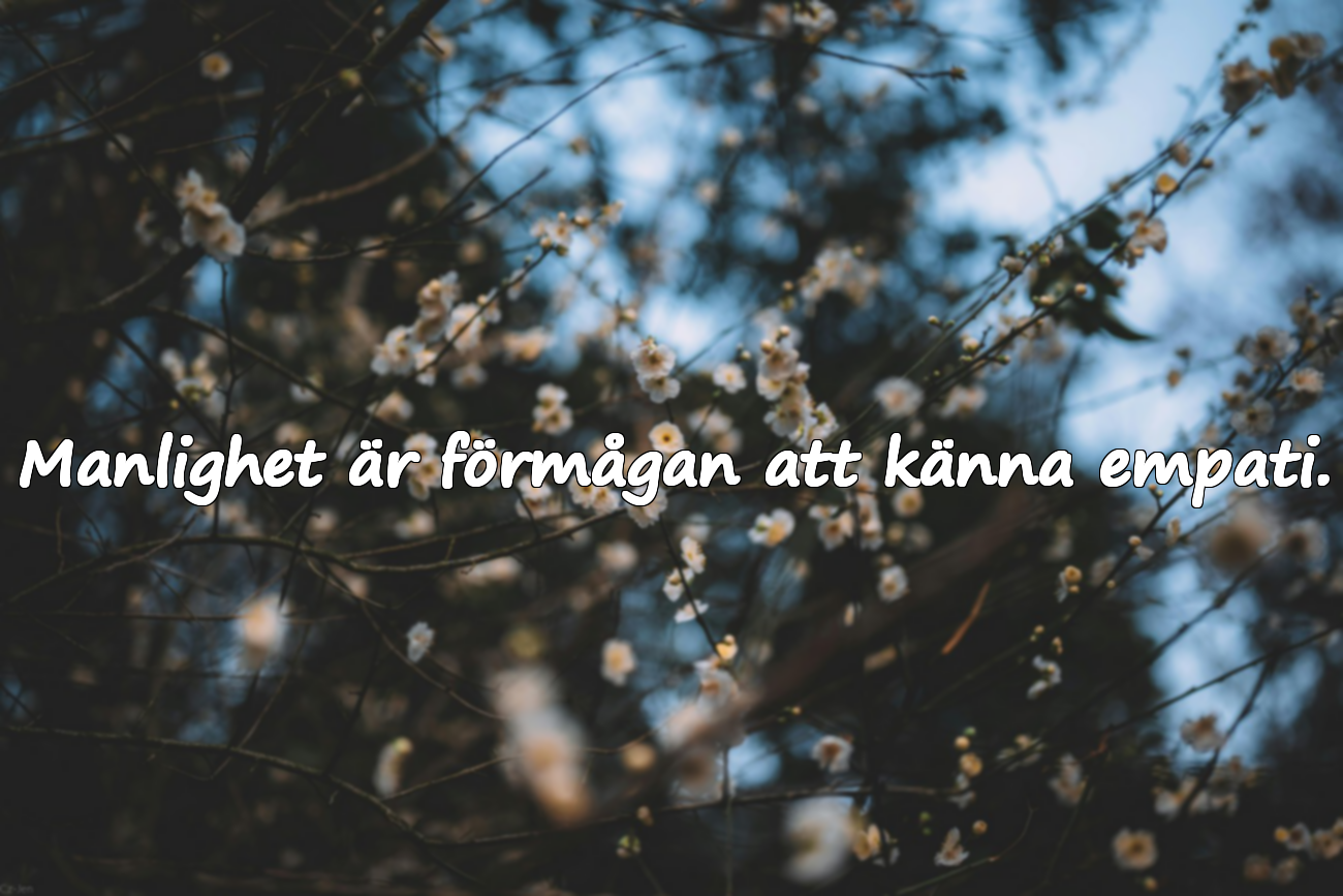 Ord om manlighet / integritet