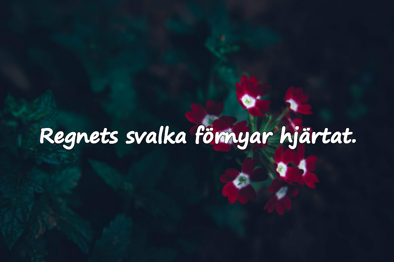 Regnets svalka förnyar hjärtat.