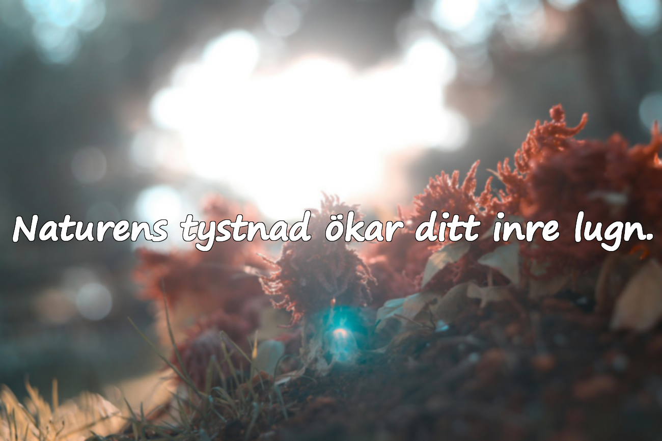 Ord om naturen