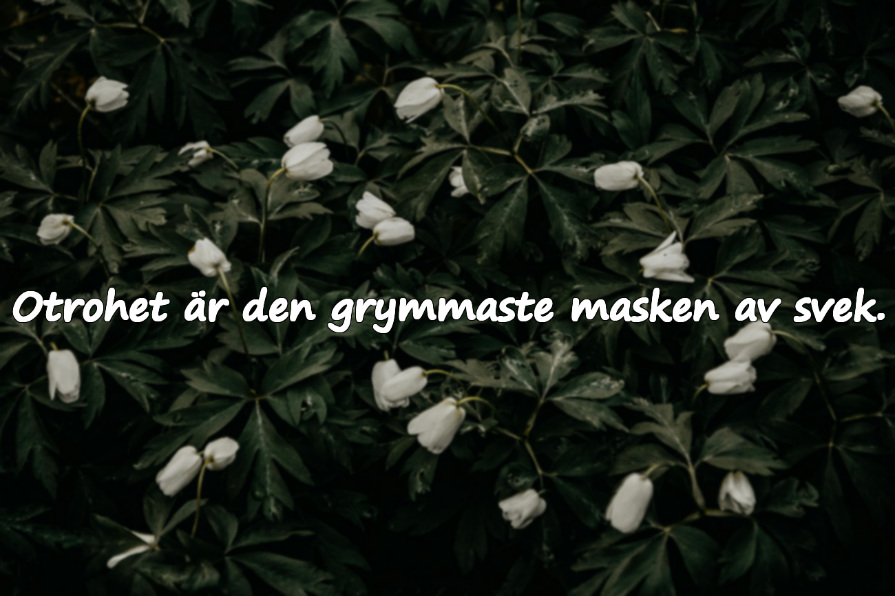 Ord om otrohet