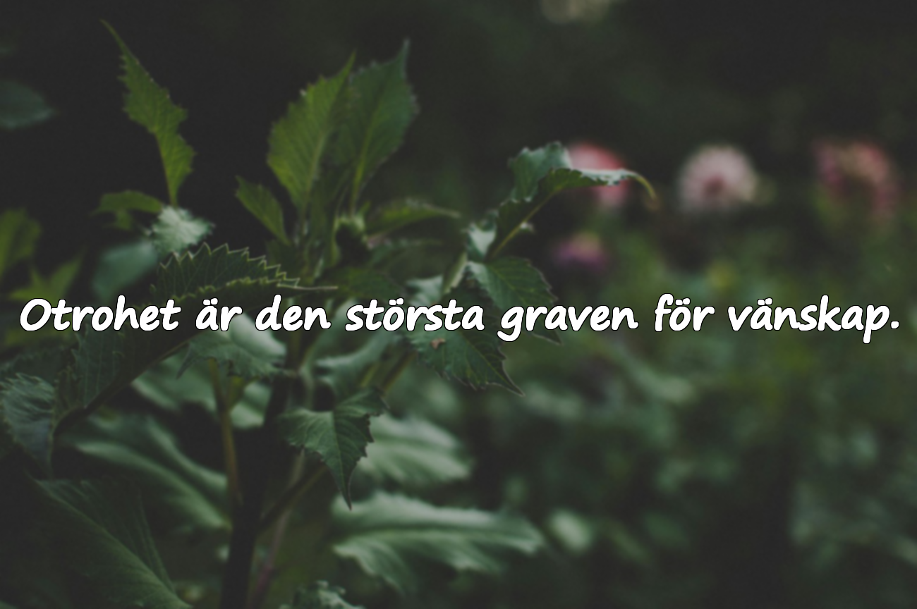 Ord om otrohet