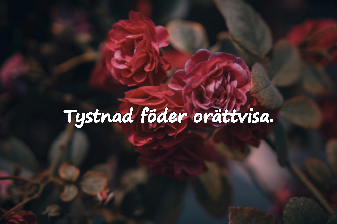 Ord om rättvisa